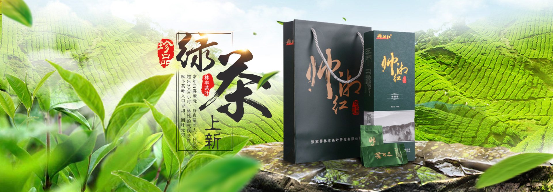 張家界林豐茶葉開(kāi)發(fā)有限公司_張家界茶葉開(kāi)發(fā)|茶葉種植|桑植白茶加工|帥湘紅銷(xiāo)售