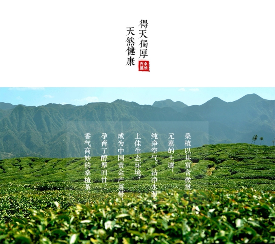 張家界林豐茶葉開(kāi)發(fā)有限公司,張家界茶葉開(kāi)發(fā),茶葉種植,桑植白茶加工,帥湘紅銷售