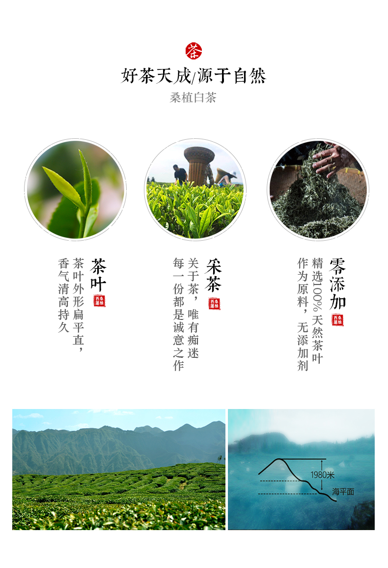 張家界林豐茶葉開(kāi)發(fā)有限公司,張家界茶葉開(kāi)發(fā),茶葉種植,桑植白茶加工,帥湘紅銷售